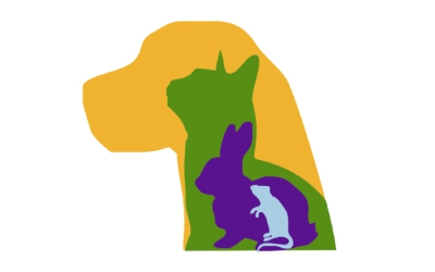 Rindfield Consulting
