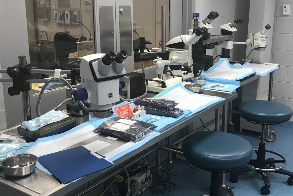 2019 ASR Meeting – Hilton, Florida