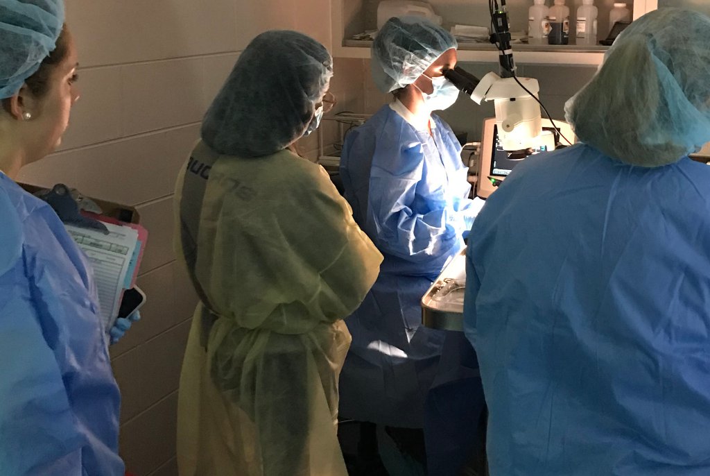 2019 ASR Meeting – Hilton, Florida